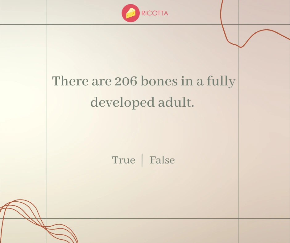 170+ True or False Questions With Answers 2023